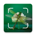 insect spider & bug identifier android application logo